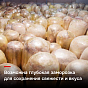 Шаурма «По-домашнему» замороженная